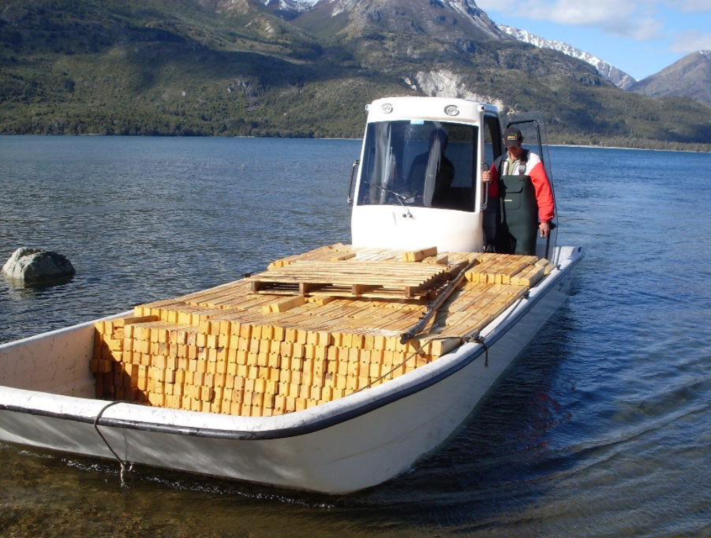 De Fácil Transporte